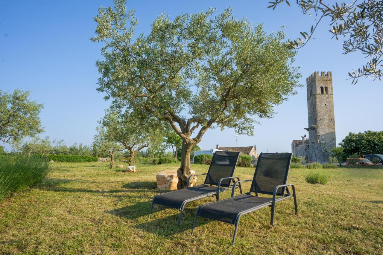 Lavanda Sveti Lovreč Pazenatički