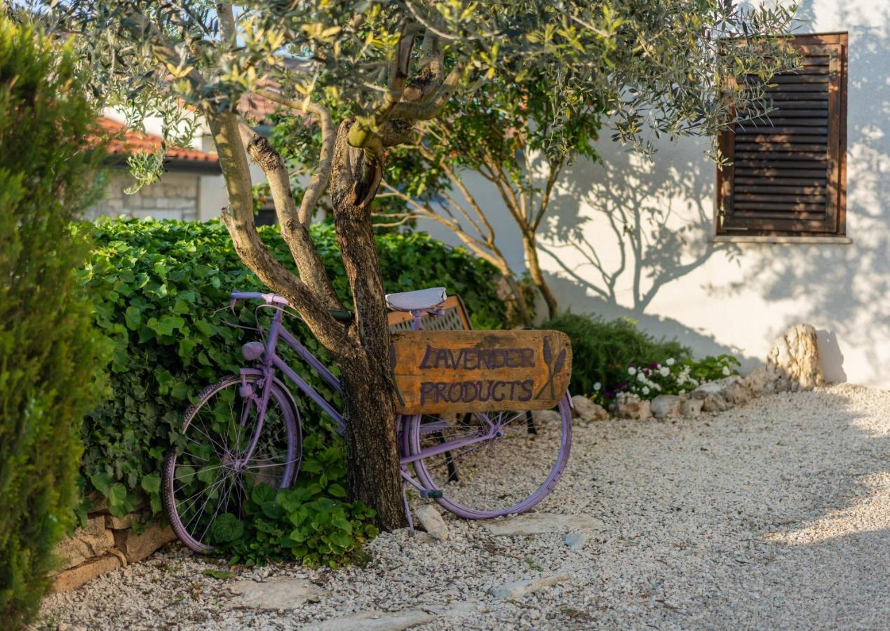 Appartement Lavanda Sveti Lovreč Pazenatički